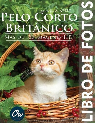 Pelo corto británico: Libro de fotos - Más de 100 imágenes HD