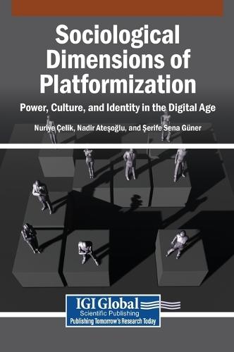 Sociological Dimensions of Platformization: Power, Culture, and Identity in the Digital Age
