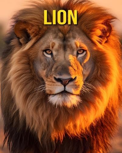 Lion: Fun and Amazing Pictures About Lion