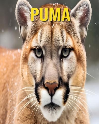 Puma: Fun and Amazing Pictures About Puma