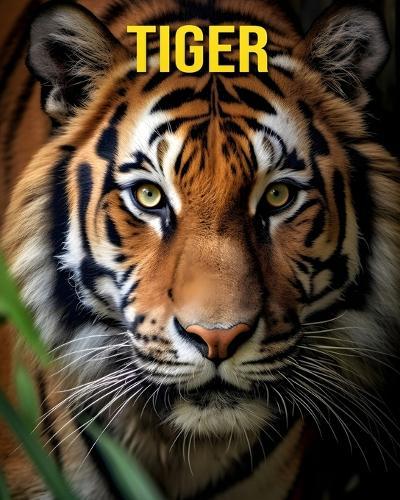 Tiger: Fun and Amazing Pictures About Tiger