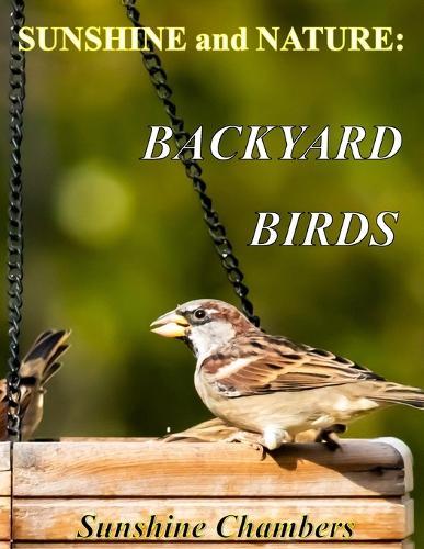 SUNSHINE and NATURE: Backyard Birds