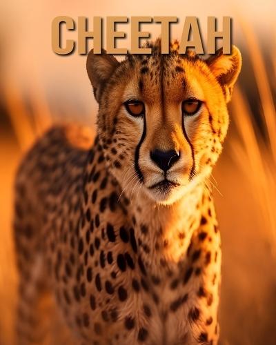 Cheetah: Learn About Cheetah and Enjoy Amazing Facts & Pictures