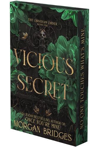 Vicious Secret: A Dark Romance