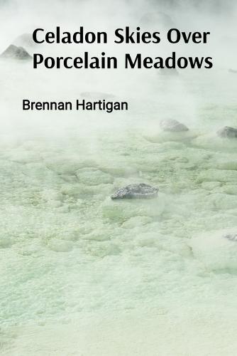 Celadon Skies Over Porcelain Meadows: A Ceramicist's Odyssey Through Form, Texture, and Translucence