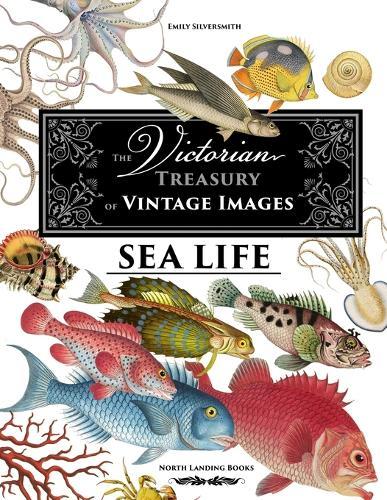 The Victorian Treasury of Vintage Images - Sea Life