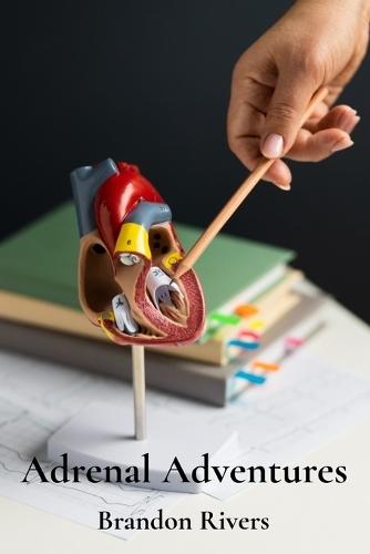 Adrenal Adventures: Exploring the Physiology and Function of the Adrenal Glands