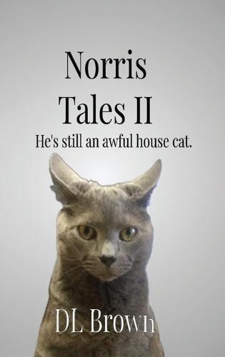 Norris Tales II: Still an Awful House Cat