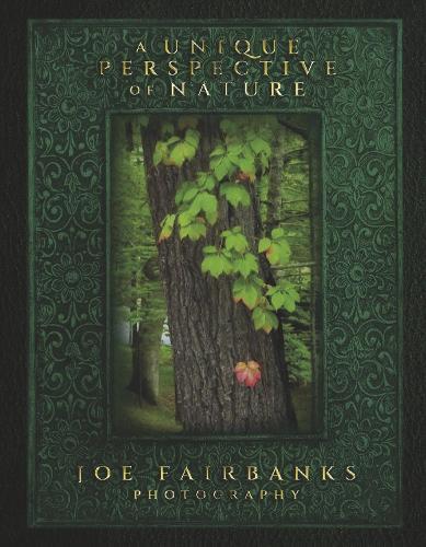 A Unique Perspective of Nature: Joe Fairbanks Photography
