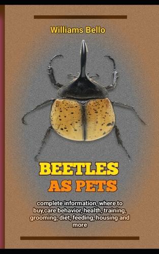 Beetles As Pets: complete guide on everything you need to know about bettles