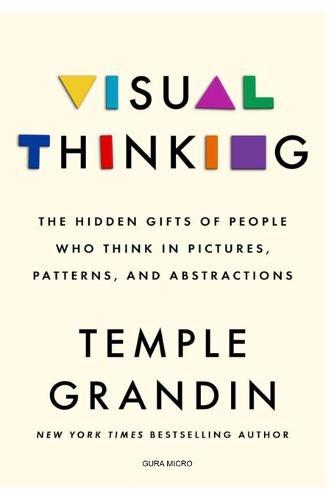 Visual Thinking