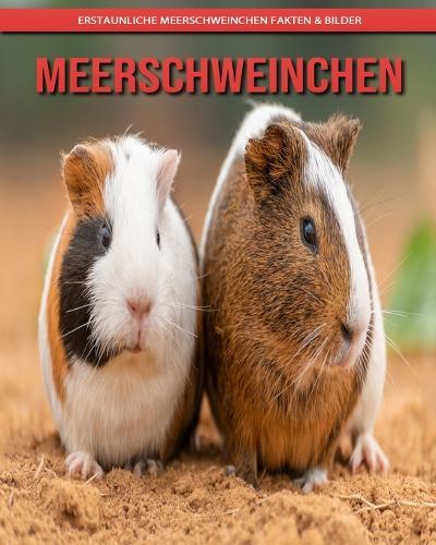 Meerschweinchen: Erstaunliche Meerschweinchen Fakten & Bilder