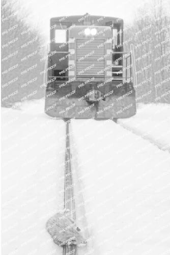 Possum Line: Book 2 of The Adams/Williams Railroad Novels