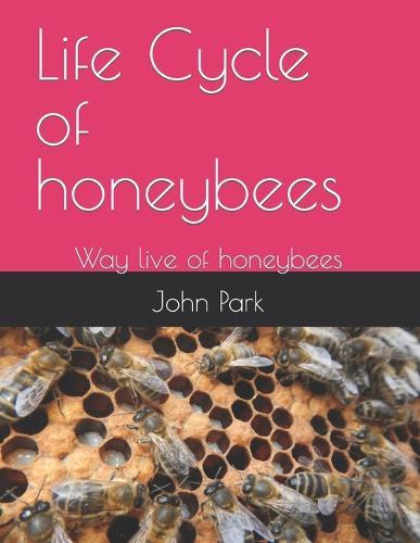 Life Cycle of honeybees: Way live of honeybees
