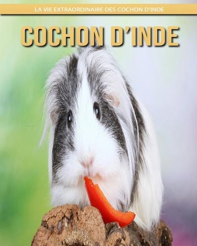Cochon d'Inde: La Vie Extraordinaire des Cochon d'Inde