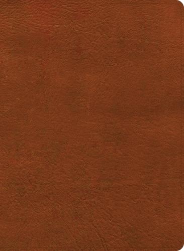 NASB Study Bible, Burnt Sienna Leathertouch, Indexed