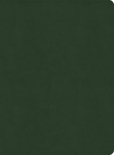 NASB Study Bible, Olive Leathertouch, Indexed