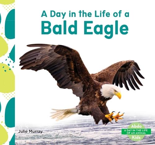 Day in the Life of a Bald Eagle