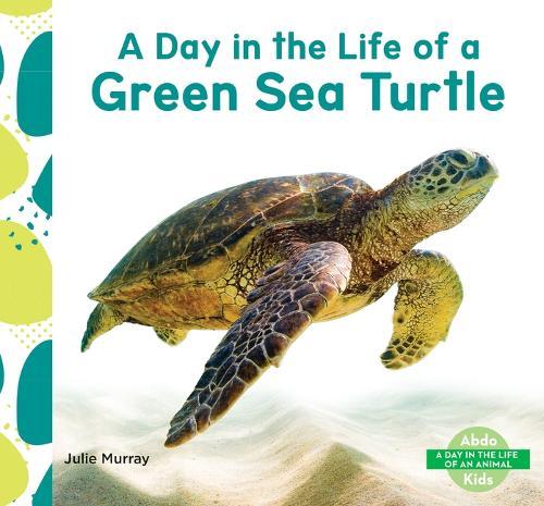 Day in the Life of a Green Sea Turtle