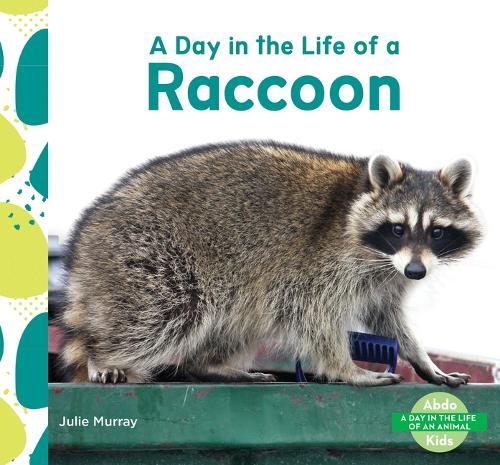 Day in the Life of a Raccoon