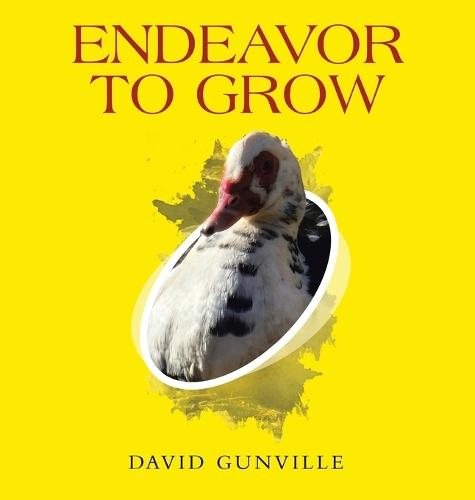 Endeavor to Grow