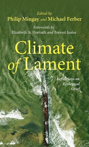 Climate of Lament: Reflections on Ecological Grief