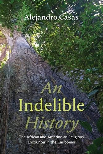 An Indelible History: The African and Amerindian Religious Encounter in the Caribbean