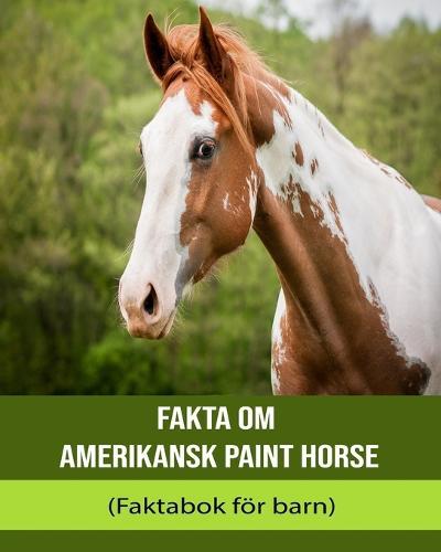 Fakta om Amerikansk Paint Horse (Faktabok för barn)