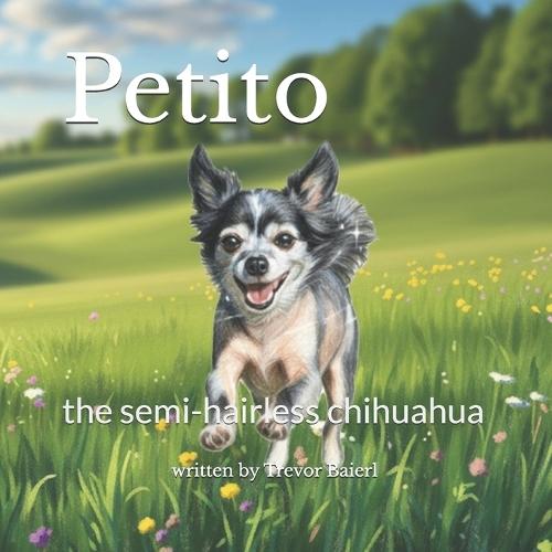 Petito the Semi-Hairless Chihuahua