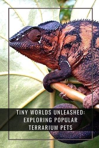 Tiny Worlds Unleashed: Exploring Popular Terrarium Pets: Discover Miniature Marvels in Terrariums