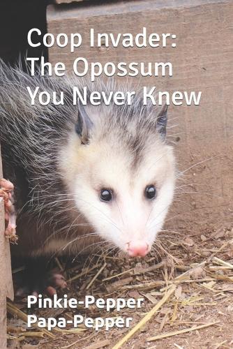 Coop Invader: The Opossum You Never Knew