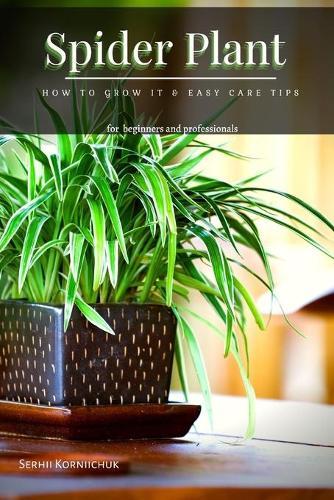 Spider Plant: How t&#1086; Grow It & Easy Care Tips