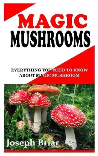 Magic Mushrooms: Everything You Need To Know About Magic Mushroom