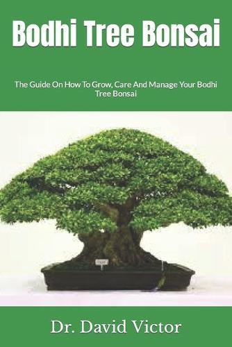 Bodhi Tree Bonsai: The Guide On How To Grow, Care And Manage Your Bodhi Tree Bonsai