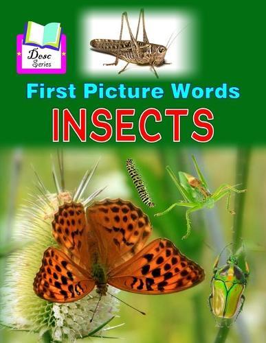 First Picture Words: Insects