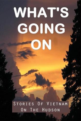 What's Going On: Stories Of Vietnam On The Hudson: Youth In Residential Care