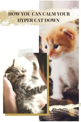 How You Can Calm Your Hyper Cat Down: Your Thoughts on Hyper Cats?
