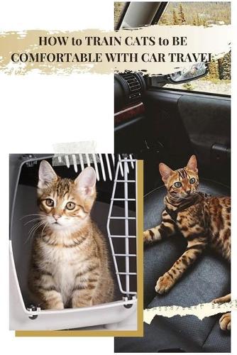 HOW t&#1086; TRAIN CATS t&#1086; BE COMFORTABLE WITH CAR TRAVEL: Your Thoughts on Cats Chewing & Biting Fingers?