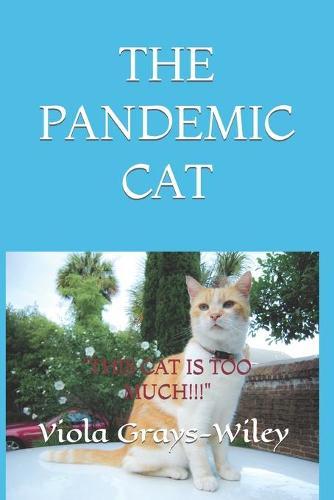 THE PANDEMIC CAT ( Academic Vocabulary Grades 2-4): This Cat Is Too Much!!!
