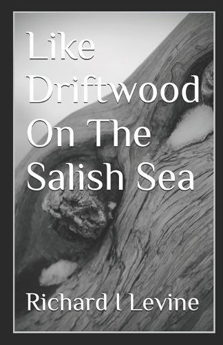 Like Driftwood On The Salish Sea: a small town romance