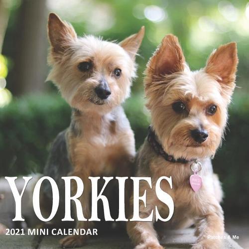 Yorkies: 2021 Mini Wall Calendar