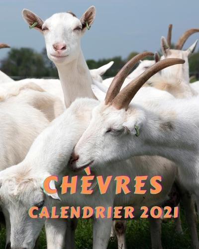 Chevres Calendrier 2021: Calendrier mensuel 2021 du lundi au dimanche avec des photos de chevres majestueuses