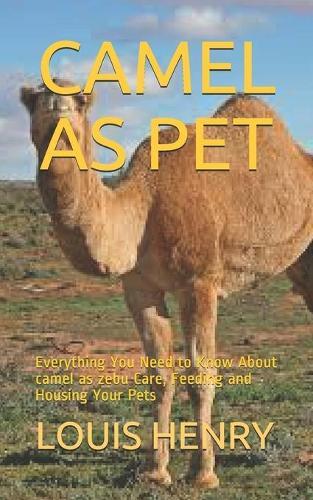 Camel as Pet: Everything You Need to Know About camel as zebu Care, Feeding and Housing Your Pets