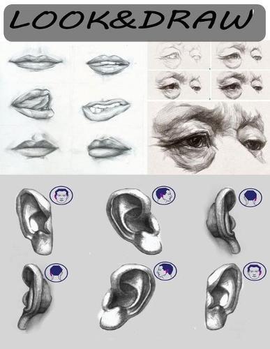 Look and Draw: Step by step drawing eyes, ears, nose and mouth