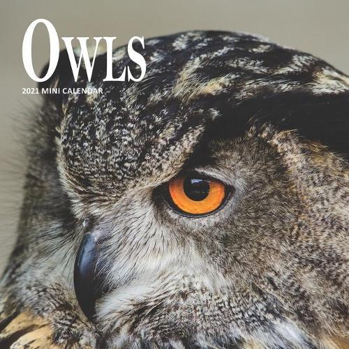 Owls: 2021 Calendar
