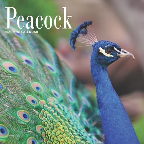 Peacock: 2021 Calendar