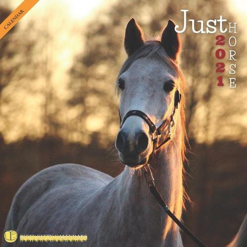 Just Horse: Wall Calendar 2021 Cute Farm Animals Calendars