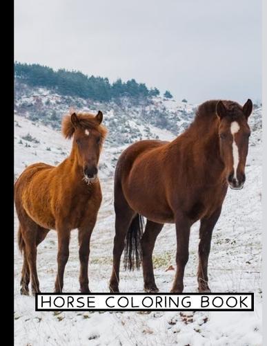 Horse Coloring Book: Coloring Toy Gifts for Toddlers, Kids Ages 4-8, Girls 4-8, 8-12 or Adult Relaxation Cute Easy and Relaxing Realistic Large Print Birthday Gifts