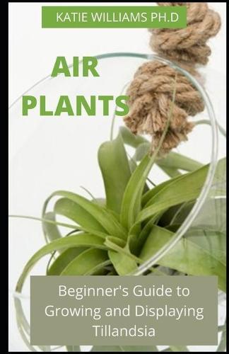 Air Plants: Comprehensive Guide to Growing and Display Maintaining Tillandsia