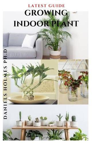 Latest Guide Growing Indoor Plant: Easy Step By Step Guide To Growing Your Plant Indoor Successfully